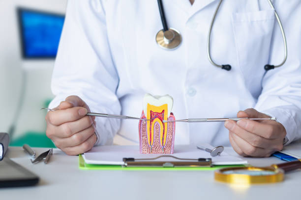 Best Mobile Emergency Dentist in Cincinnati, OH